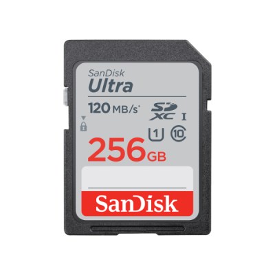 sd 256GB